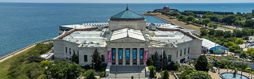 Experience Luxury by the Lake with the Best Hotels Shedd Aquarium