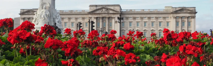 Explore The Mall: The Royal Walk to Buckingham Palace