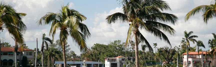 Kayak Through Indian Creek: A Peaceful Escape in the City