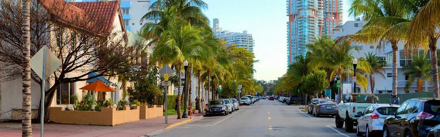 Nightlife on Collins Avenue: Dance, Drink & Dazzle
