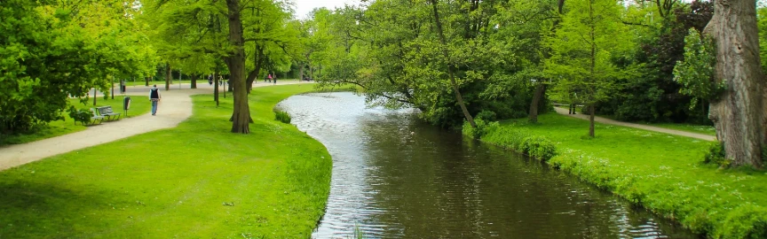 Picnic & People-Watching at Vondelpark