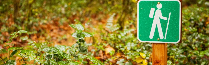 Pismo Preserve Hiking Trails: Scenic Views & Wildlife