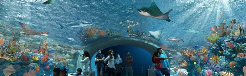 Uncover the Best Hotels Close to Shedd Aquarium for a Memorable Stay