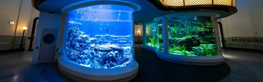 Underwater Wonders and Upscale Stays: Hotels Near Shedd Aquarium
