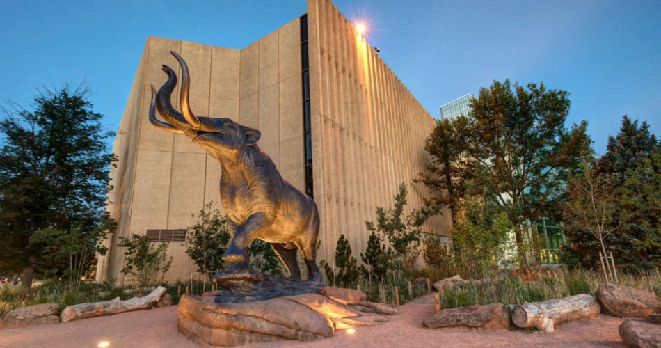 Best Things to Do in Denver