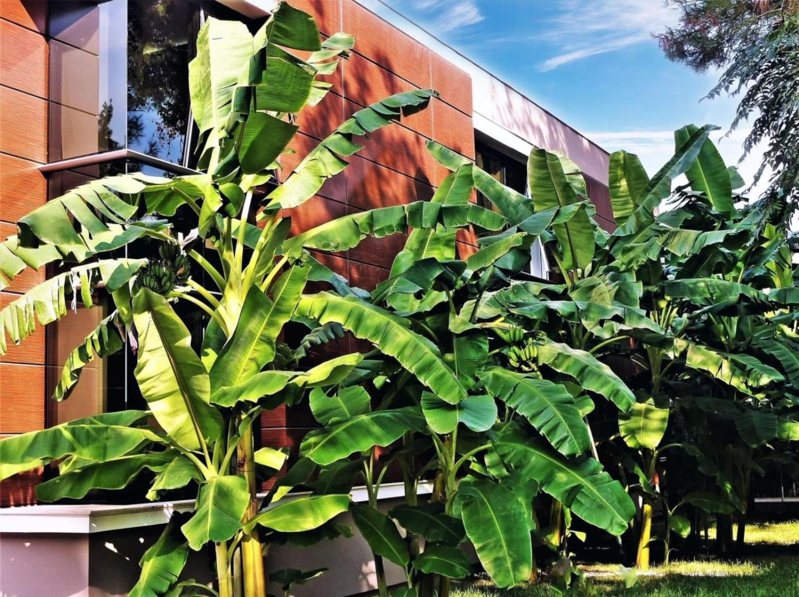 Çetinel Tesisleri Hotel