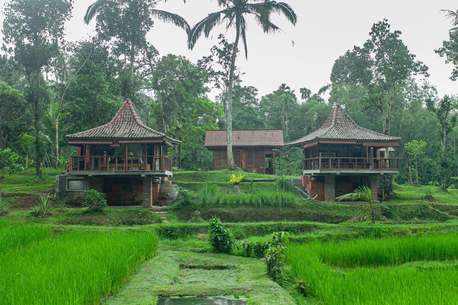 Tepi Sawah Lodge